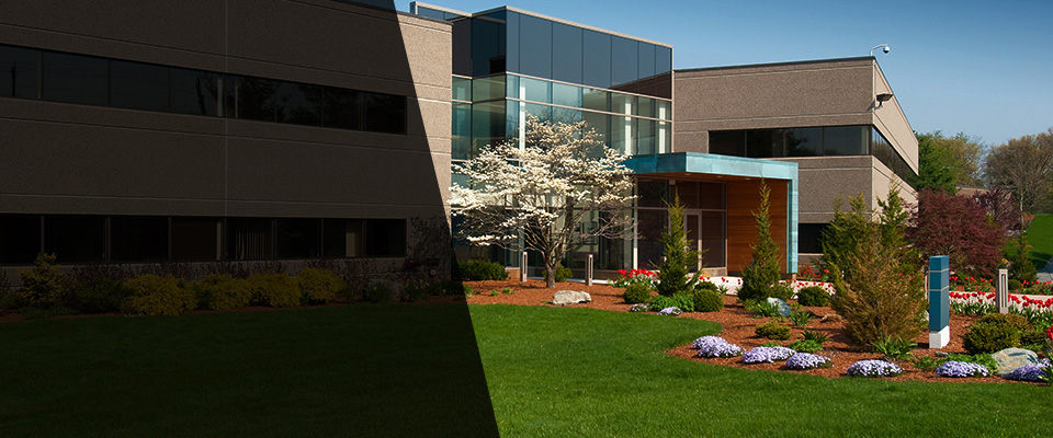 Springvale Landscapers
