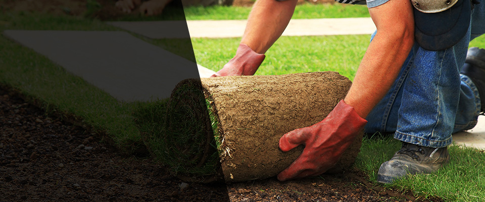 Springvale Landscapers